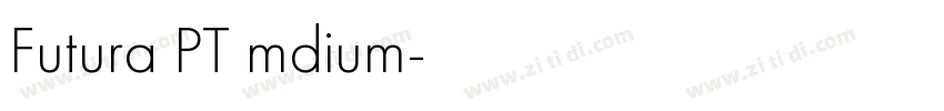 Futura PT mdium字体转换